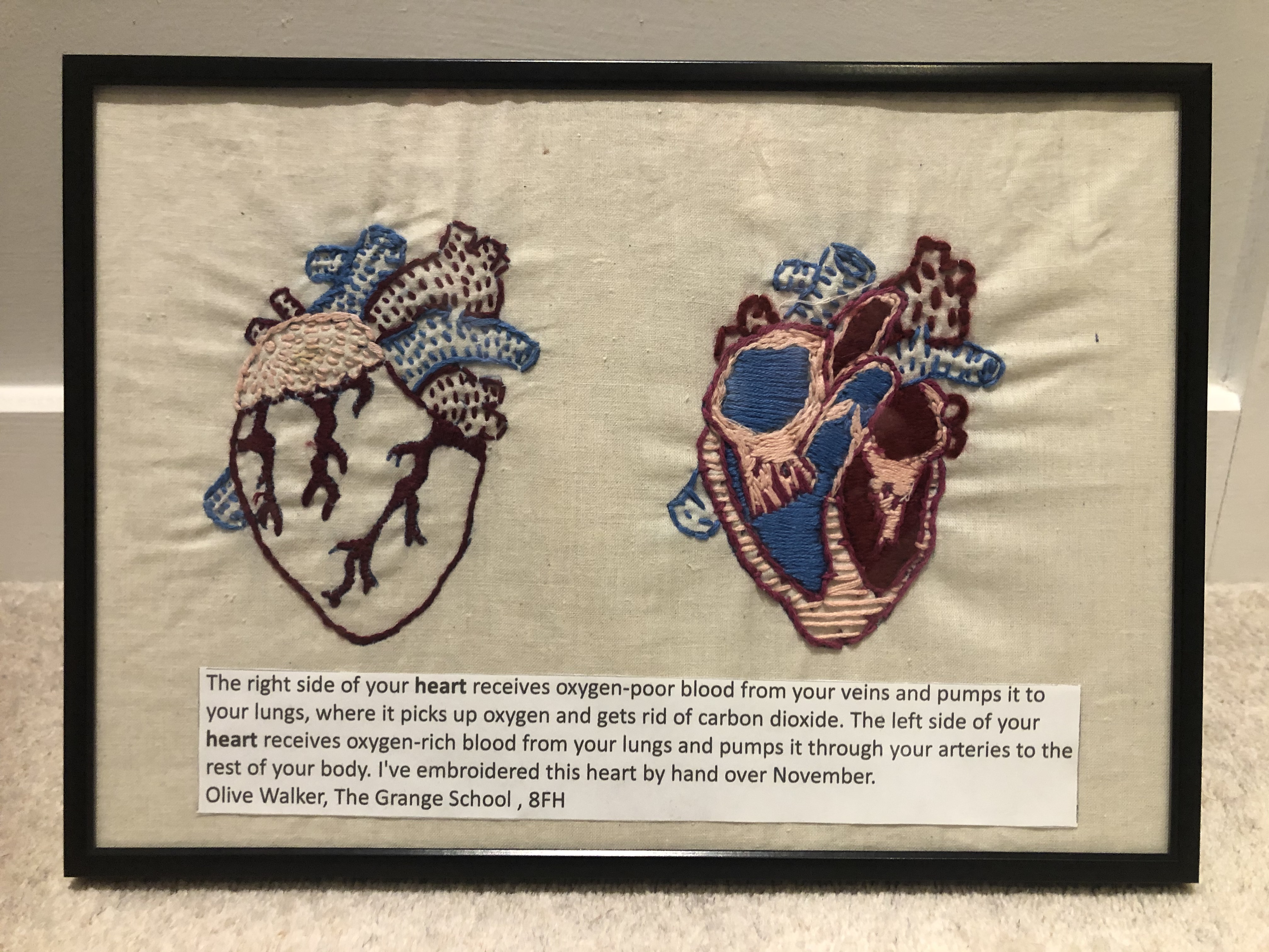 Heart and Cross Section of Heart
