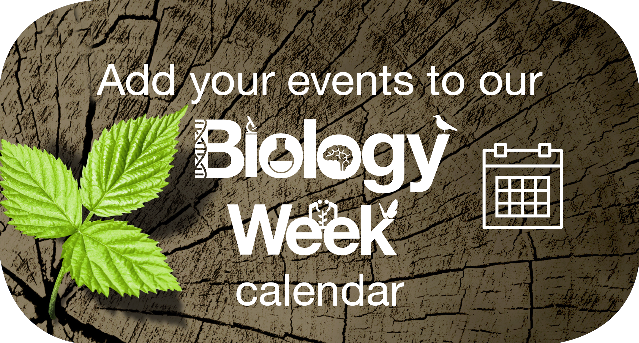 Biology Week calendar button tree