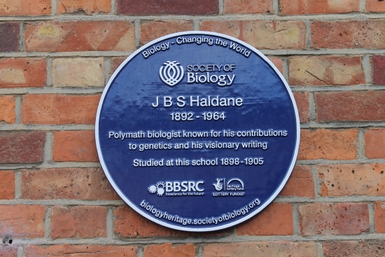 Haldane Plaque