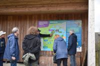 How Arne fits into Poole Harbour super nature reserve