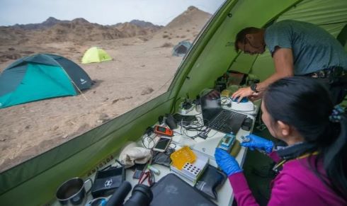 Nanopore sequencing gobi desert rz