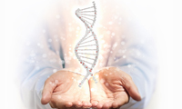 DNA and hand
