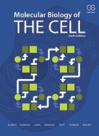 Molecular Biology of the Cell