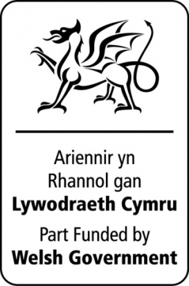 welsh gov logo