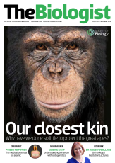 Magazine /images/biologist/archive/2014_04_01_Vol61_No2_Our_Closest_Kin