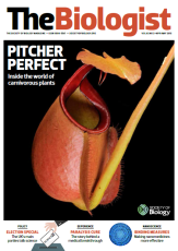Magazine /images/biologist/archive/2015_04_01_Vol62_No2_Pitcher_Perfect
