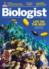 Magazine /images/biologist/archive/2015_06_01_Vol62_No3_Life_On_The_Reef