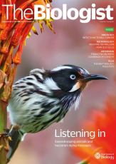 Magazine /images/biologist/archive/2021_02_02_Vol68_No1__Listening_In