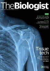Magazine /images/biologist/archive/2023_10_09_Vol70_No3_Tissue_Tech
