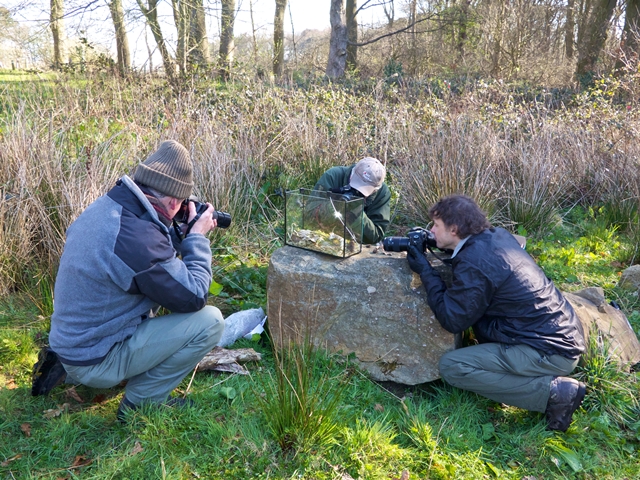 NW Mammal Trapping 2015 resized